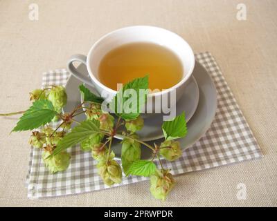 Thé au houblon, tisane aux fleurs de houblon Banque D'Images