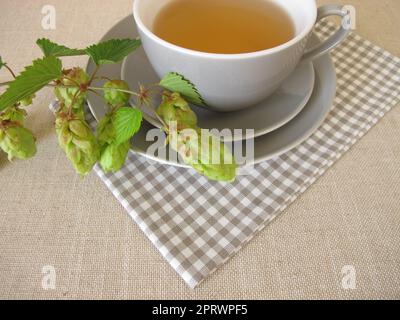 Thé au houblon, tisane aux fleurs de houblon Banque D'Images