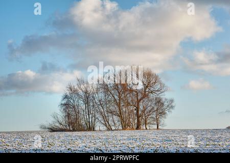 Hiver - campagne au Danemark. Paysage d'hiver par jour ensoleillé avec ciel bleu. Banque D'Images