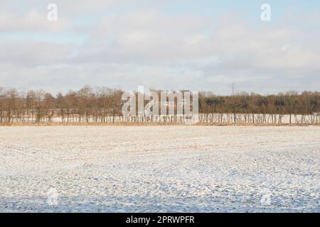 Hiver - campagne au Danemark. Paysage d'hiver par jour ensoleillé avec ciel bleu. Banque D'Images