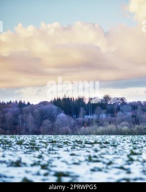 Hiver - campagne au Danemark. Paysage d'hiver par jour ensoleillé avec ciel bleu. Banque D'Images