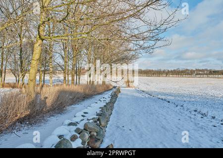 Hiver - campagne au Danemark. Paysage d'hiver par jour ensoleillé avec ciel bleu. Banque D'Images