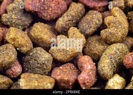 Faites dorer les morceaux de croquettes de nourriture sèche pour chats sous forme de motif texturé. Banque D'Images