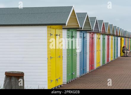 Huttes de plage colorées dans une rangée sur Eastbourne Beach, Sussex, Angleterre Banque D'Images