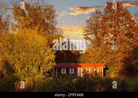 La cabane rouge dans les bois au coucher du soleil. Bâtiment entouré d'arbres d'automne. Banque D'Images