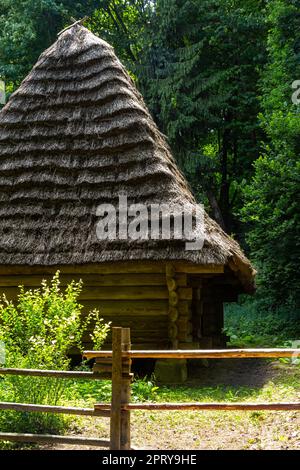 Ancienne maison ukrainienne traditionnelle sous un toit de chaume sur le fond de la forêt, un jour ensoleillé d'été. Banque D'Images