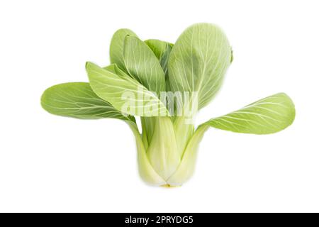 Bok choy vert frais ou pac choi chou chinois isolé fond blanc. Vue de dessus, gros plan. Banque D'Images