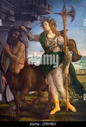 Pallas et le Centaure, Sandro Botticelli, vers 1482, Galleria degli Uffizi, Galerie des Offices, Florence, Toscane, Italie Banque D'Images