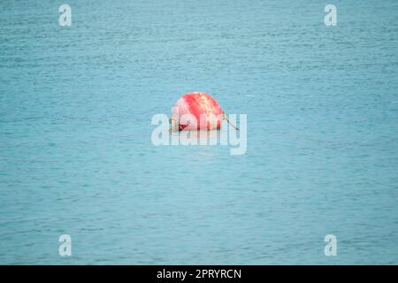 Bouée flottant dans la mer utilisée pour l'alignement dans la mer Banque D'Images
