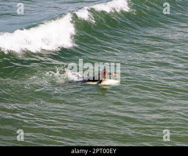 Santa Monica, Californie, États-Unis - 15 mai 2022: Je l'homme travaille dur pour essayer de prendre une vague de surf en Californie prises d'en haut. Banque D'Images