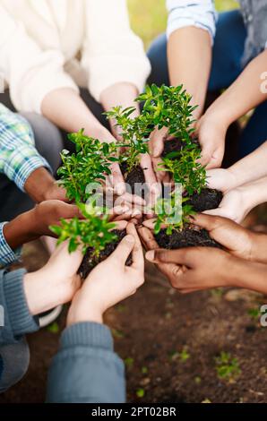 Ne vous écartez pas, grandisez ensemble. Prise de vue en grand angle d'un groupe de personnes méconnaissables tenant des plantes poussant dans le sol Banque D'Images