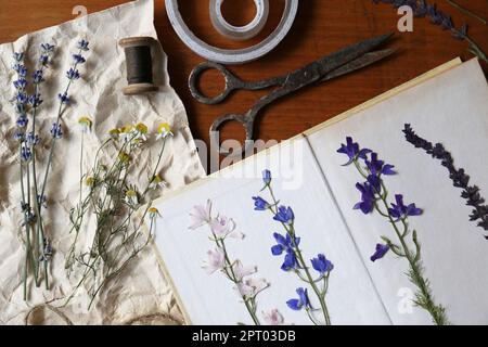 Composition de la pose plate avec de belles fleurs séchées, livre et vieux ciseaux sur table en bois Banque D'Images