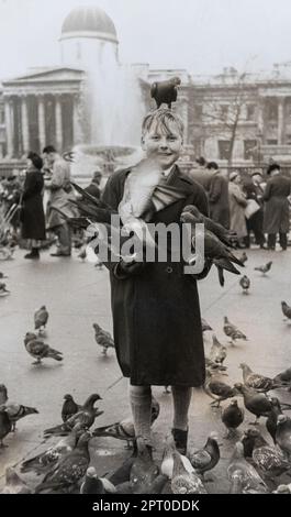 Garçon à Trafalgar Square nourrissant les pigeons, photo d'archives de la mi-1950s, Londres, Angleterre, Royaume-Uni Banque D'Images