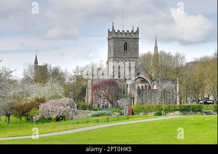 Les printemps fleurissent autour de l'église Saint-Pierre à Bristol par temps clair Banque D'Images