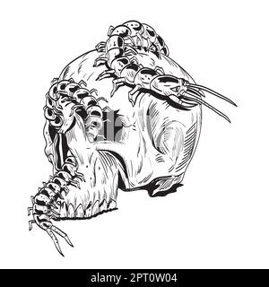 Dessin de style BD ou illustration d'un crâne humain avec un centipede allant à l'intérieur de la douille d'oeil vu du côté sur un arrière-plan isolé en noir an Banque D'Images