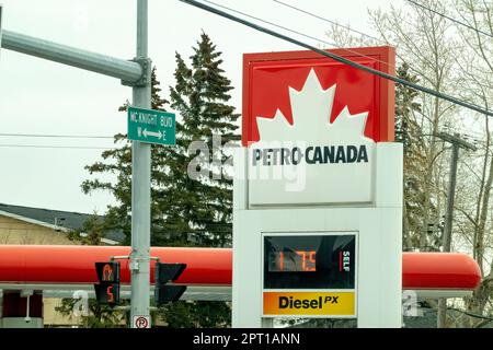 Calgary, Alberta, Canada. 26 avril 2023. Un panneau de station-service de Petro Canada Banque D'Images