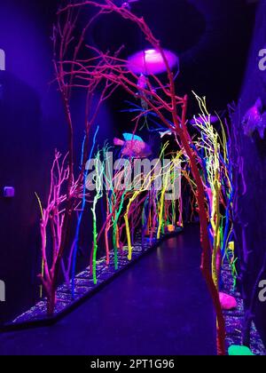 Meow Wolf à Santa Fe, Nouveau-Mexique est une expérience immersive dans l'imaginaire Banque D'Images