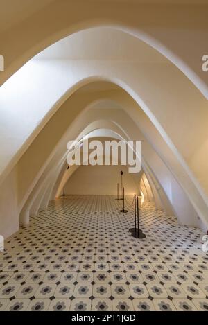 Grenier de Casa Batlló en forme d'arches caténaires ou paraboliques (Barcelone, Catalogne, Espagne) ESP: Desván de la Casa Batlló con forma de arcos Banque D'Images