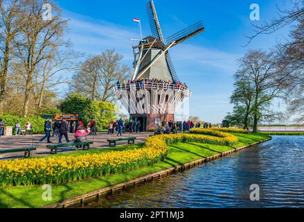 KEUKENHOF, HOLLANDE - 19 AVRIL 2023 : Keukenhof, situé dans la municipalité de Lisse, également connu sous le nom de jardin d'Europe, est l'une des grandes villes du monde Banque D'Images