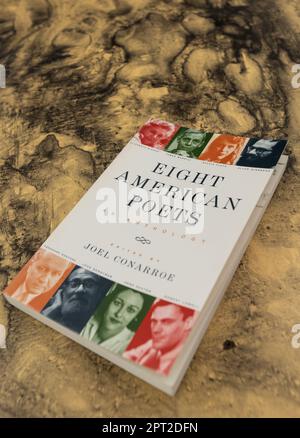 Une anthologie de 1997 livres de poche de huit poètes américains dont Sylvia Plath, Allen Ginsberg et six autres dont je n'ai pas entendu parler. Banque D'Images