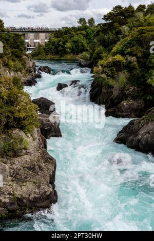 Les rapides d'Aratiatia, région de Waikato, Île du Nord, Nouvelle-Zélande Banque D'Images