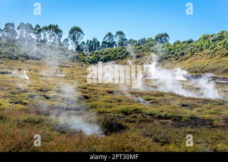 Les cratères de la Lune, Lac Taupo, région de Waikato, Nouvelle-Zélande Banque D'Images