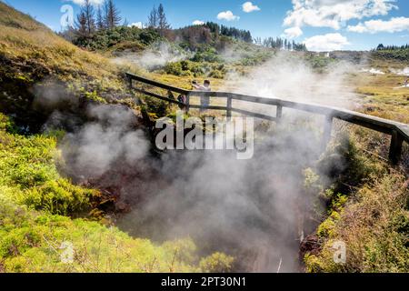 Les cratères de la Lune, Lac Taupo, région de Waikato, Nouvelle-Zélande Banque D'Images