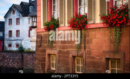 Maison à Saarburg avec geraniums. Mur de maison de detal Banque D'Images