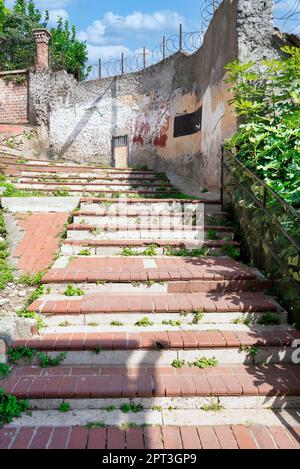 Passerelle avec briques rouges escaliers avec arbres sur le côté droit menant à des bâtiments traditionnels anciens en journée ensoleillée, quartier Balat, Istanbul, Turquie Banque D'Images