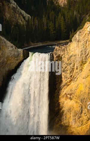 Vue rapprochée des chutes inférieures de la rivière Yellowstone lorsqu'elle plonge dans le canyon de Yellowstone, vue depuis Lookout point sur le plateau nord Banque D'Images