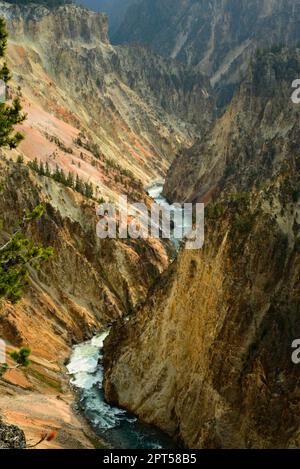 La rivière Yellowstone traverse Yellowstone Canyon juste en aval de Lower Falls, vue depuis le plateau nord du canyon. Banque D'Images