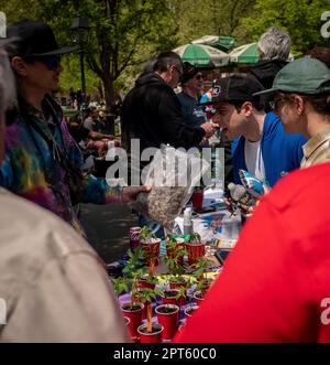 Les "Potrepreneurs" affluent jeudi à New York dans le parc de la place Washington, à 20 avril 2023, pour vendre leurs produits liés à la marijuana et pour célébrer "4/20", la fête non officielle du cannabis. New York a légalisé la marijuana en 2021. (© Richard B. Levine) Banque D'Images