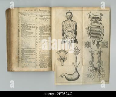 Revue biologique d'hier. Un ancien livre d'anatomie avec ses pages affichées Banque D'Images