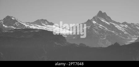 Mont Schreckhorn et Glacier Upper Grindelwald. Banque D'Images