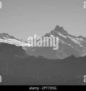 Mont Schreckhorn et Glacier Upper Grindelwald. Banque D'Images