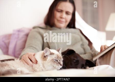 Mes deux meilleurs amis. Une femme et son animal de compagnie chat et chien se détendant dans le lit ensemble Banque D'Images