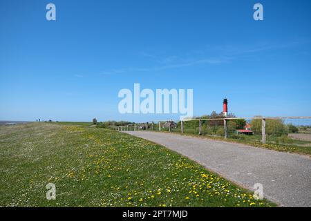 Image panoramique du paysage le long des digues de Pellworm, Frise du Nord, Allemagne Banque D'Images