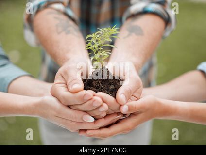 Un avenir entre nos mains. personne méconnaissable tenant une plante qui pousse hors du sol Banque D'Images