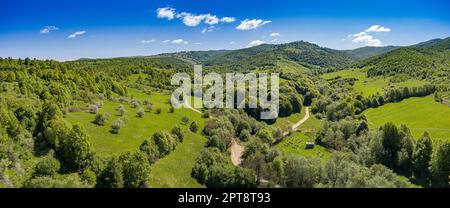 Vue Arial d'un apiaire avec de nombreuses ruches d'abeilles dans les montagnes de Roumanie. Concept d'apiculture Banque D'Images