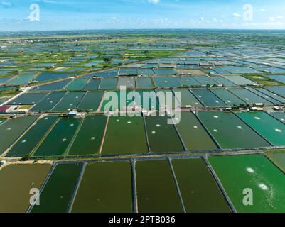 Vue aérienne de la ferme de crevettes de Taïwan Banque D'Images