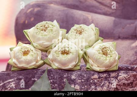 La fleur de lotus est placée pour le culte. Banque D'Images