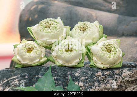 La fleur de lotus est placée pour le culte. Banque D'Images