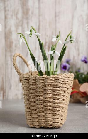 Magnifiques gouttes de neige dans le panier sur la table lumineuse Banque D'Images