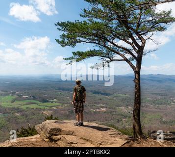 Randonneur mâle debout à côté d'un arbre surplombant une vallée Banque D'Images