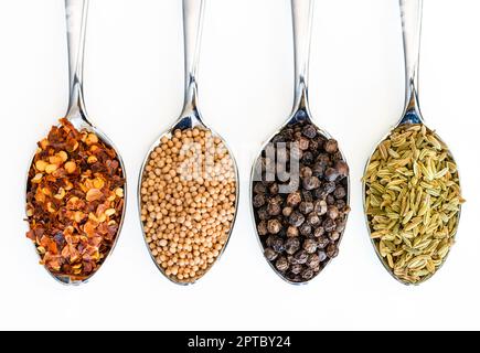 Quatre cuillères contenant du poivre rouge, des graines de moutarde, des grains de poivre noir et des graines de fenouil sur un fond blanc propre Banque D'Images