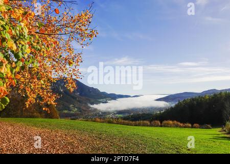 incroyable brouillard blanc dense dans une vallée avec paysage coloré en automne Banque D'Images