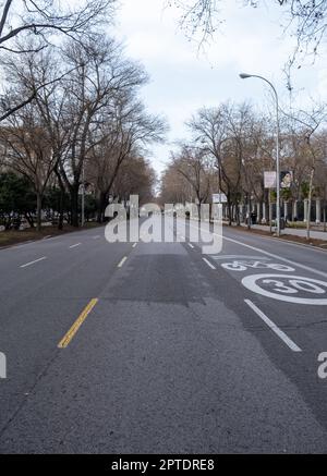 02 19 2023 Madrid, Espagne. Avenue Paseo del Prado dans le centre-ville Banque D'Images