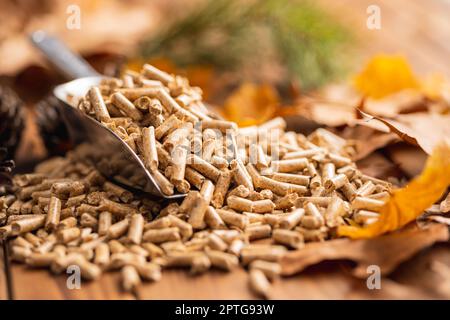 Granulés de bois en pelle sur la table en bois. Banque D'Images