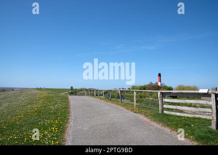 Image panoramique du paysage le long des digues de Pellworm, Frise du Nord, Allemagne Banque D'Images