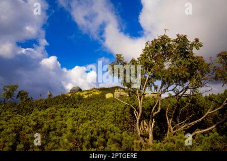 Auberge de tourisme sur Szrenica dans les montagnes géantes Banque D'Images